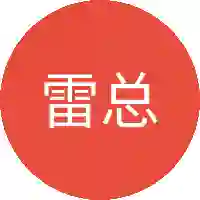 雷总教