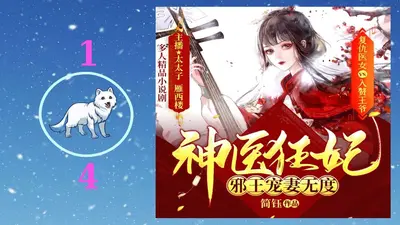 邪王的神医丑妃