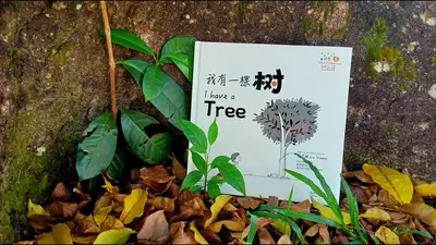 我有一株技能树