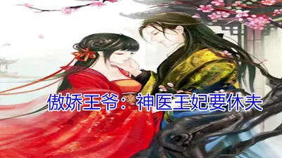 神医王妃的专情王爷