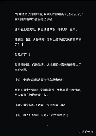 宋家夫人不好惹