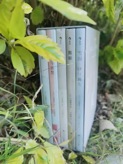 我成了日式反派